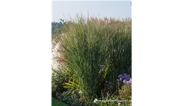 Gartenbaumschule Becker