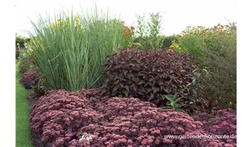 Gartenbaumschule Becker