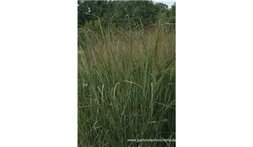 Gartenbaumschule Becker