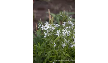 Gartenbaumschule Becker