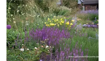 Gartenbaumschule Becker