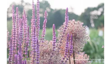 Gartenbaumschule Becker
