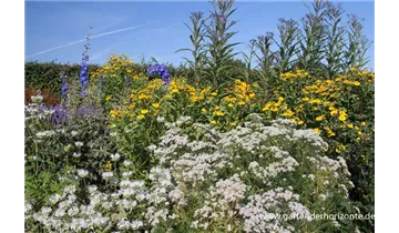Gartenbaumschule Becker