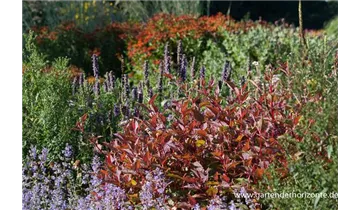 Gartenbaumschule Becker