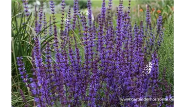 Gartenbaumschule Becker