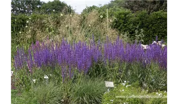 Gartenbaumschule Becker