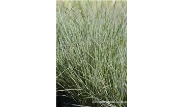 Gartenbaumschule Becker