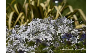 Gartenbaumschule Becker