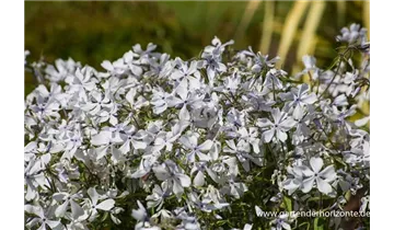 Gartenbaumschule Becker
