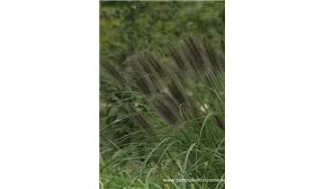 Gartenbaumschule Becker