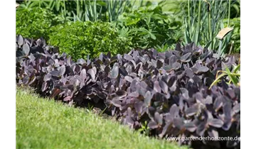 Gartenbaumschule Becker