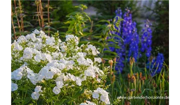 Gartenbaumschule Becker