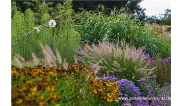 Gartenbaumschule Becker