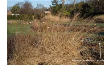 Gartenbaumschule Becker