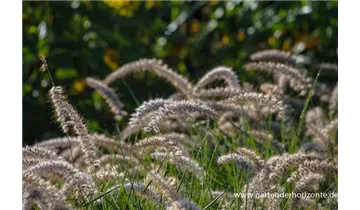 Gartenbaumschule Becker