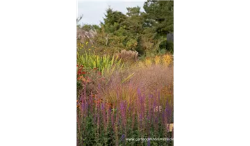 Gartenbaumschule Becker