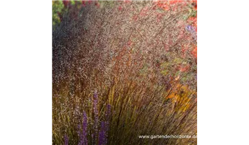 Gartenbaumschule Becker