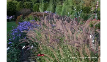 Gartenbaumschule Becker