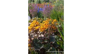 Gartenbaumschule Becker