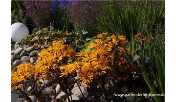 Gartenbaumschule Becker