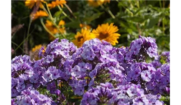 Gartenbaumschule Becker