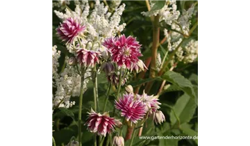 Gartenbaumschule Becker