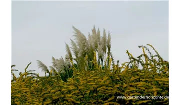 Gartenbaumschule Becker