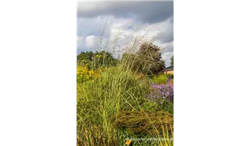 Gartenbaumschule Becker