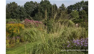 Gartenbaumschule Becker