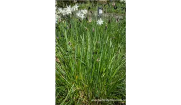 Gartenbaumschule Becker