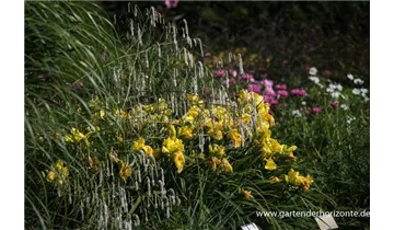 Gartenbaumschule Becker
