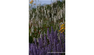 Gartenbaumschule Becker