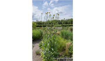 Gartenbaumschule Becker