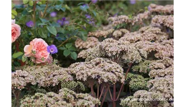 Gartenbaumschule Becker