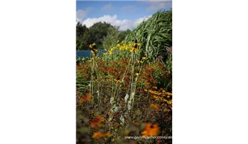 Gartenbaumschule Becker