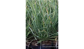 Gartenbaumschule Becker