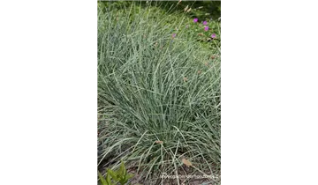 Gartenbaumschule Becker