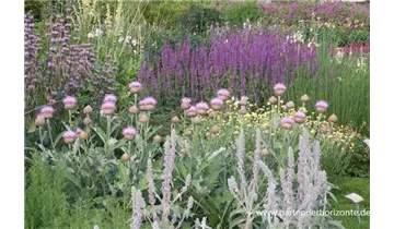 Gartenbaumschule Becker