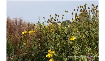 Gartenbaumschule Becker