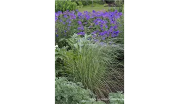 Gartenbaumschule Becker