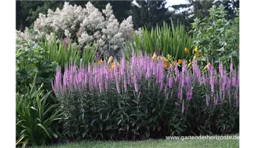 Gartenbaumschule Becker