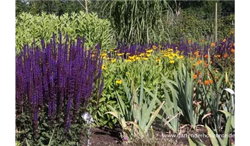 Gartenbaumschule Becker