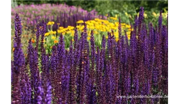 Gartenbaumschule Becker