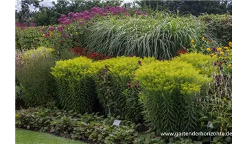 Gartenbaumschule Becker