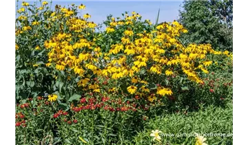 Gartenbaumschule Becker