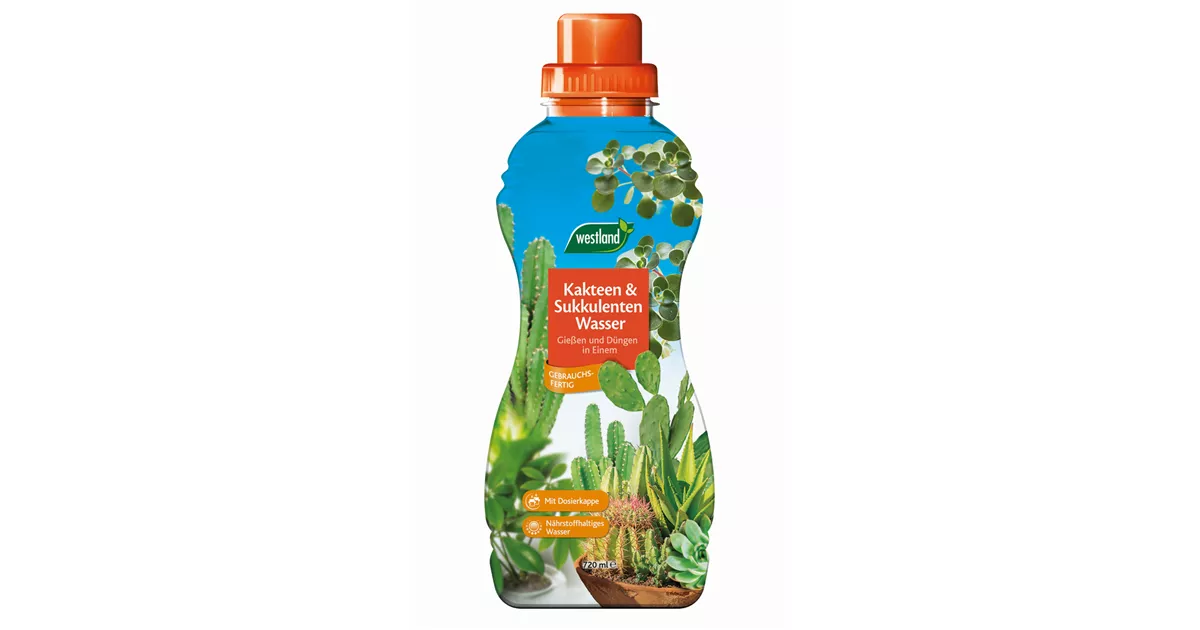 Westland Kakteen & Sukkulentenwasser 720 ml - GartenBaumschule Becker