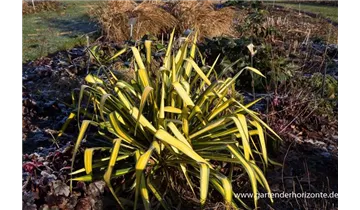 Gartenbaumschule Becker
