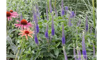 Gartenbaumschule Becker