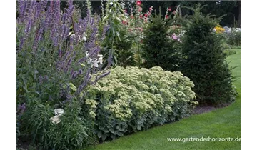 Gartenbaumschule Becker