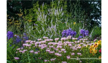 Gartenbaumschule Becker